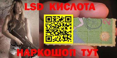 дживик Тара