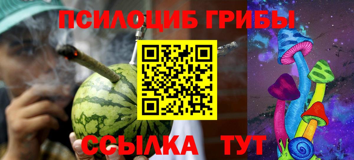 Гусь-Хрустальный  Галлюциногенные грибы Psilocybe  Вход с VPN 